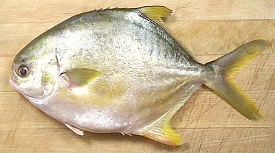 Fish on a wooden surface